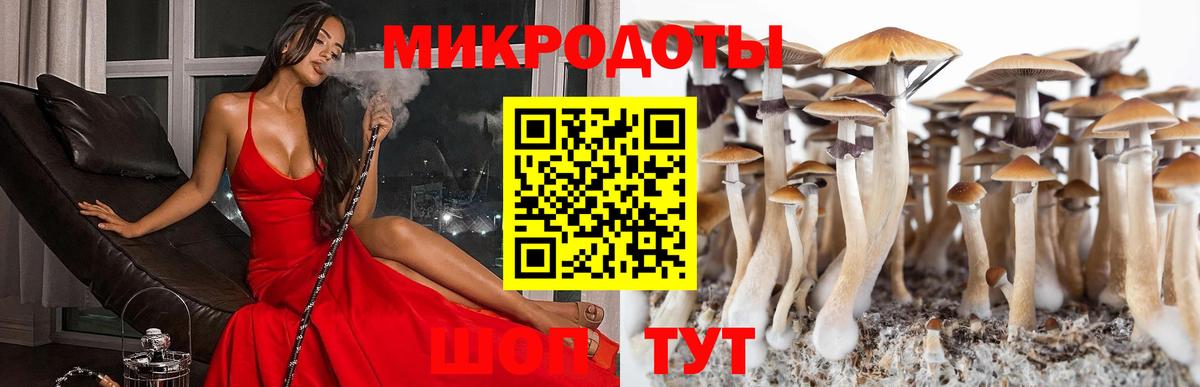 Елабуга  Псилоцибиновые грибы Magic Shrooms  как найти наркотики  Вход с VPN 